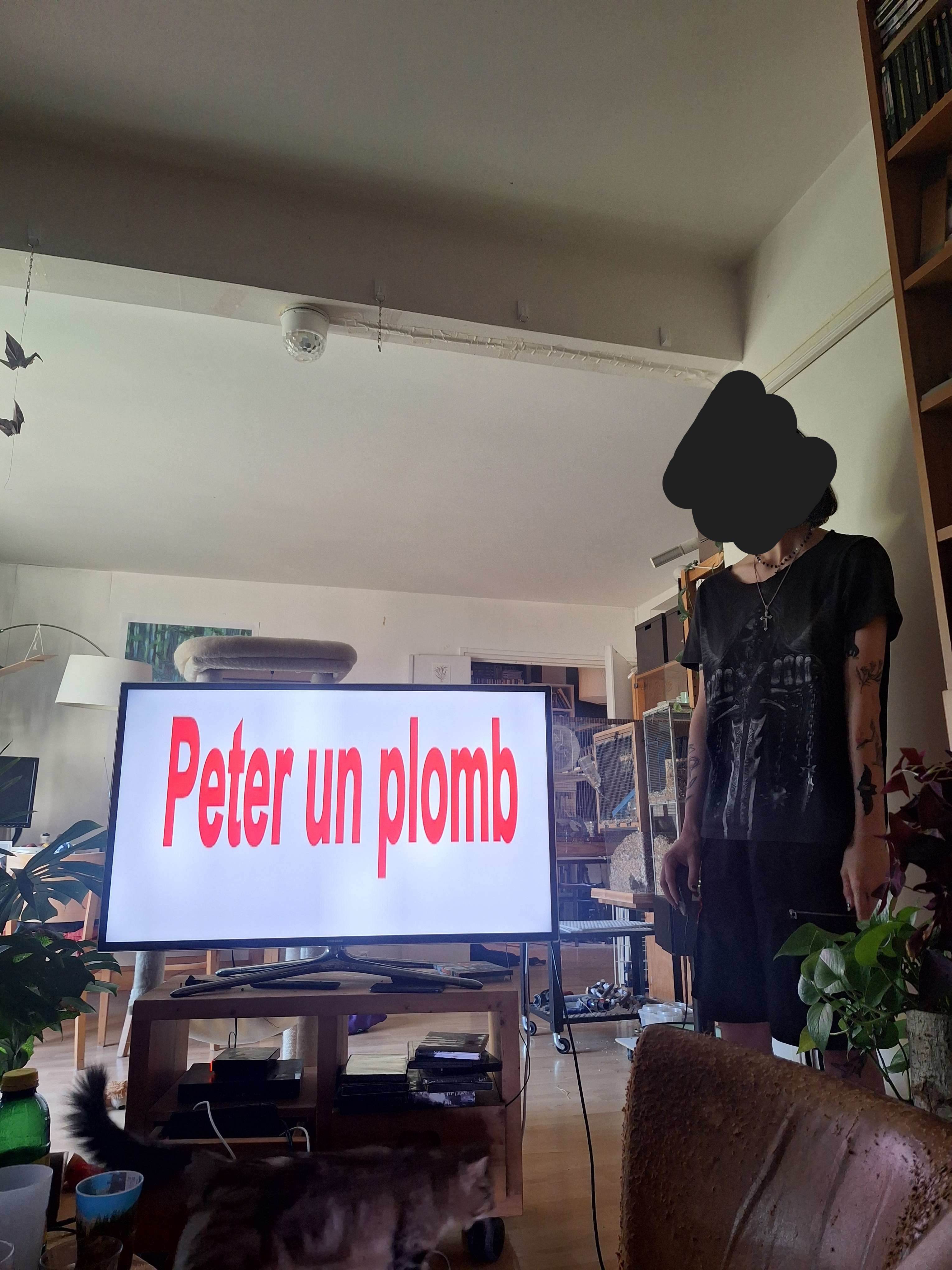 my friend showing her powerpoint