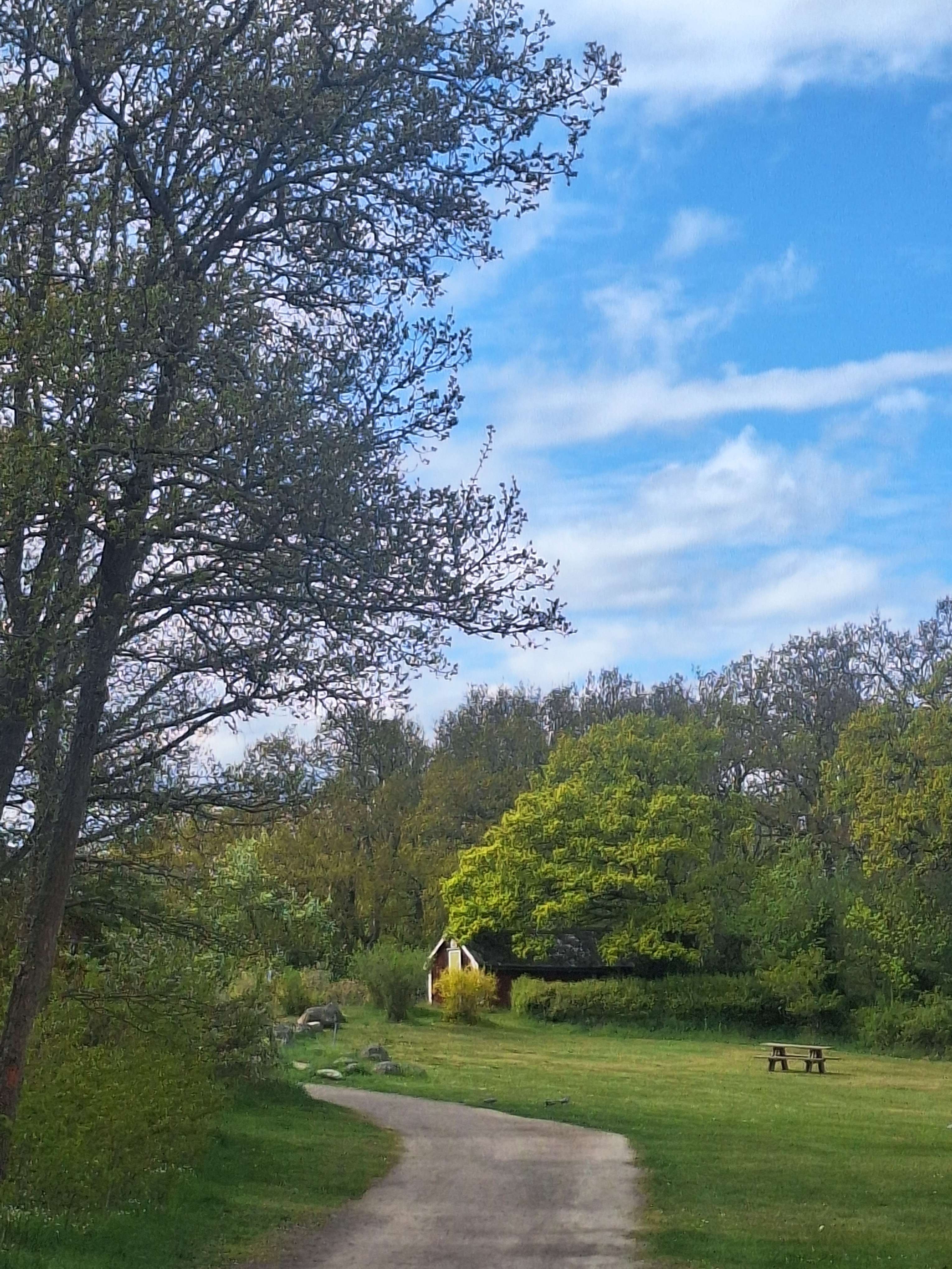 Picture i took on a walk
